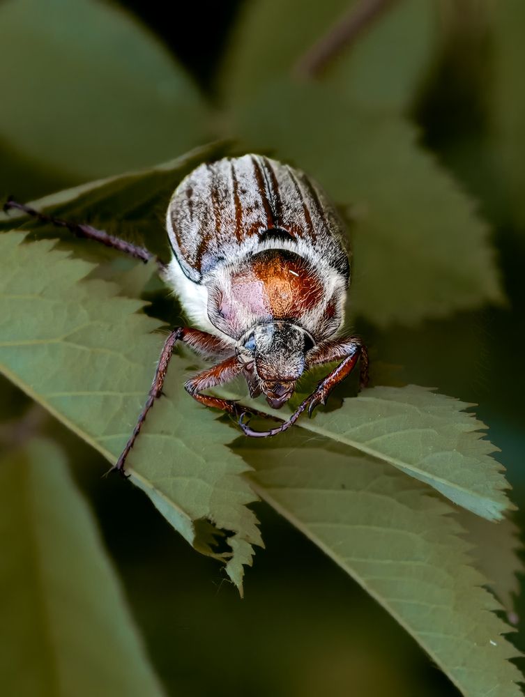 Photograph by Konstantin Martynov