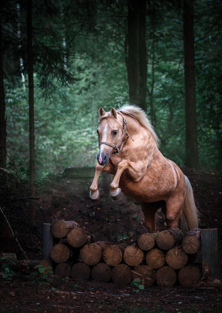 Photograph by Екатерина Лебедева