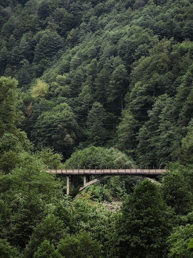 Photograph by Евгения Владимировна