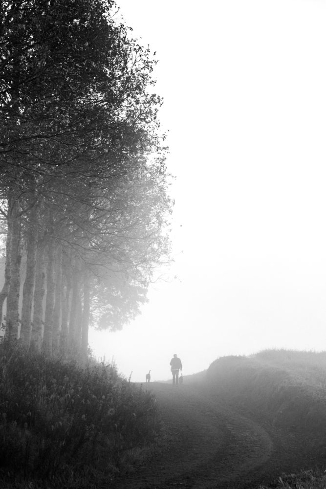 Photograph by Mateus Campos Felipe