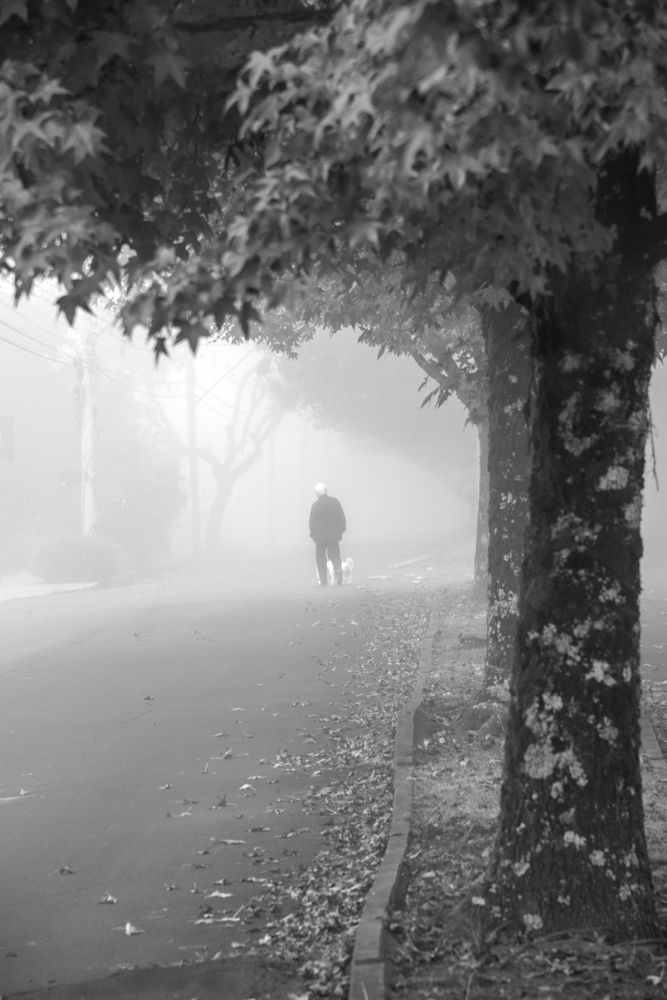 Photograph by Mateus Campos Felipe