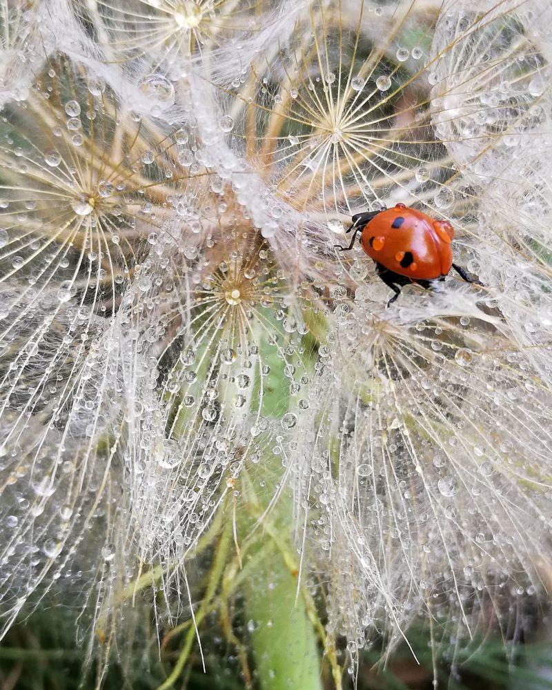Photograph by Ульяна Кузьмина