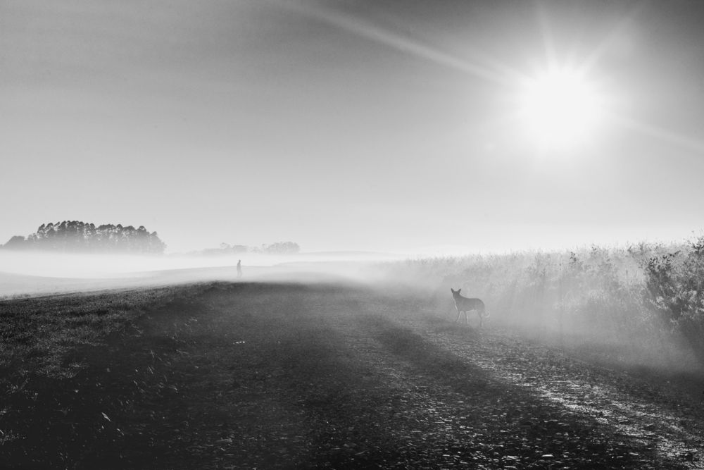 Photograph by Mateus Campos Felipe