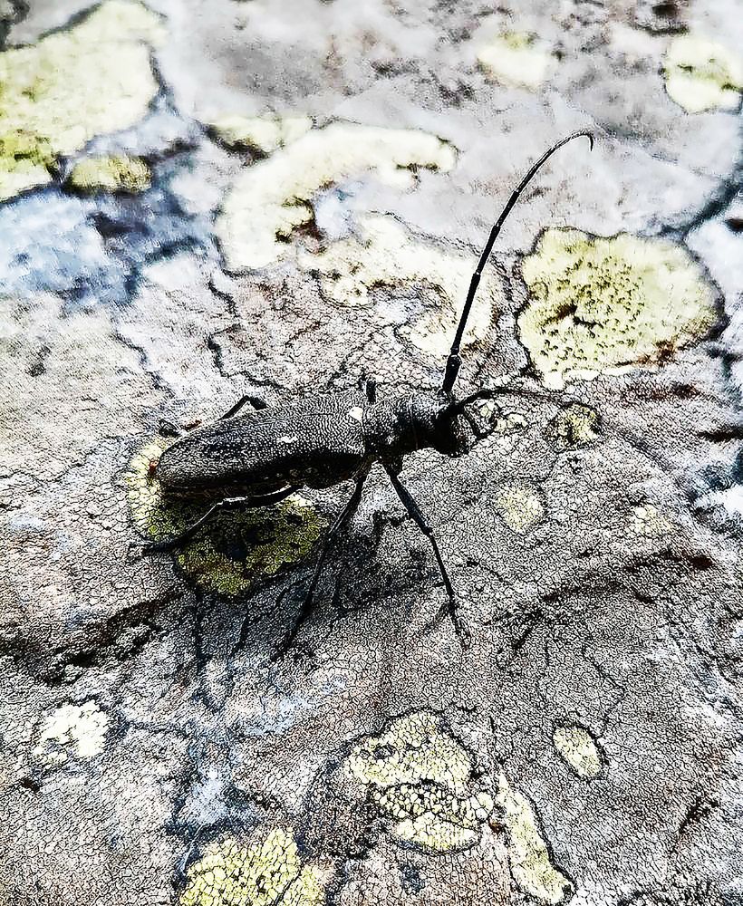 Photograph by Алексей Патлах