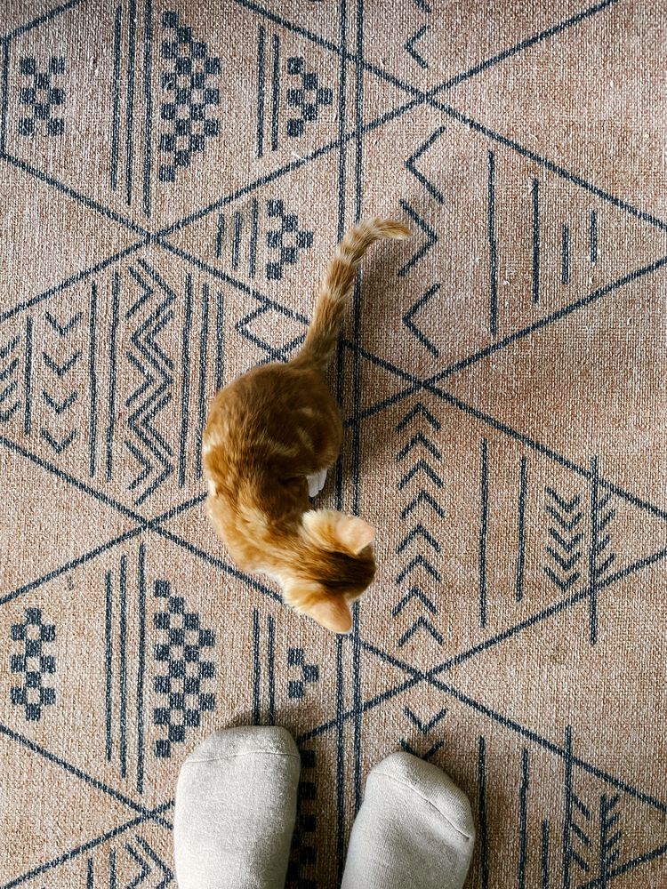 Photograph by Elizabeth Barkovskaya