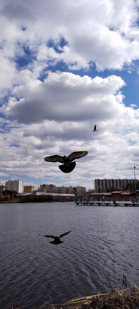 Photograph by Дарина Макарова