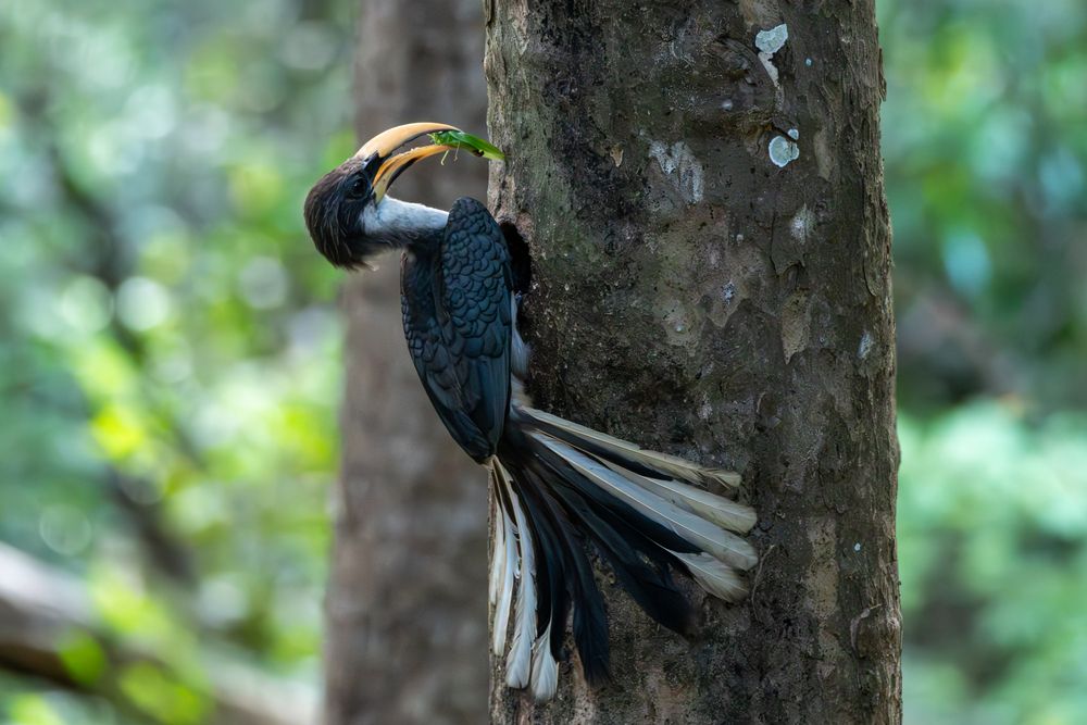 Фотография автора Lasith Fernando
