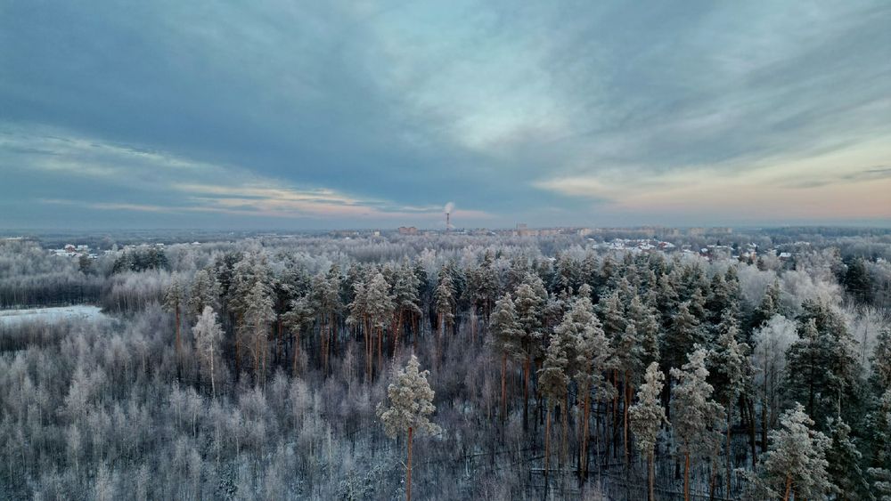 Фотография автора Илья К