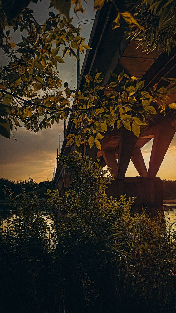 Photograph by Людмила Горячева
