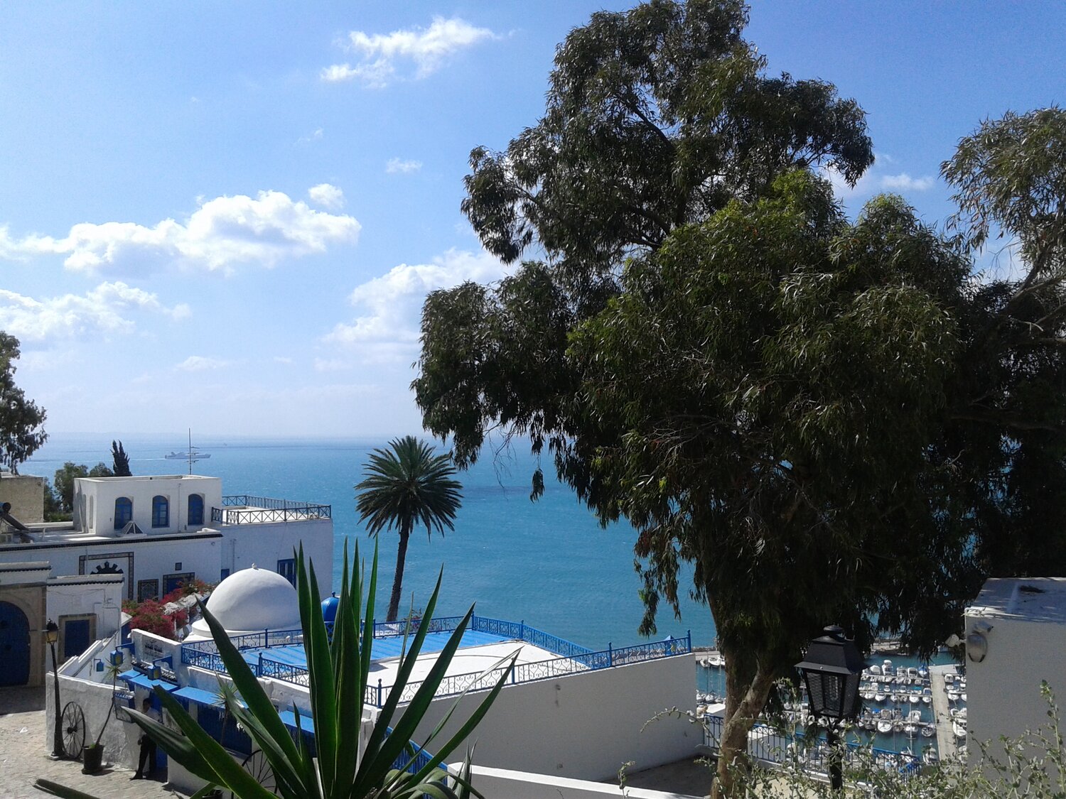 Tunis