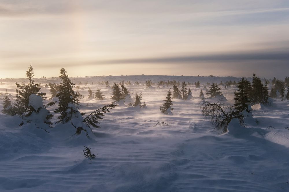 Photograph by Елена Соколова