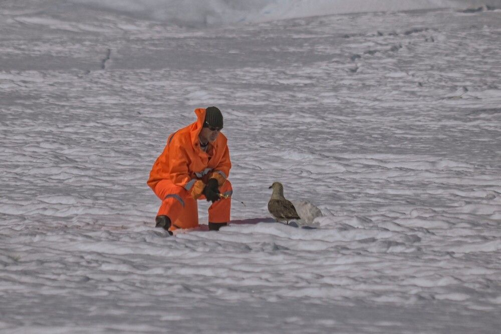 Photograph by Алексей Логинов
