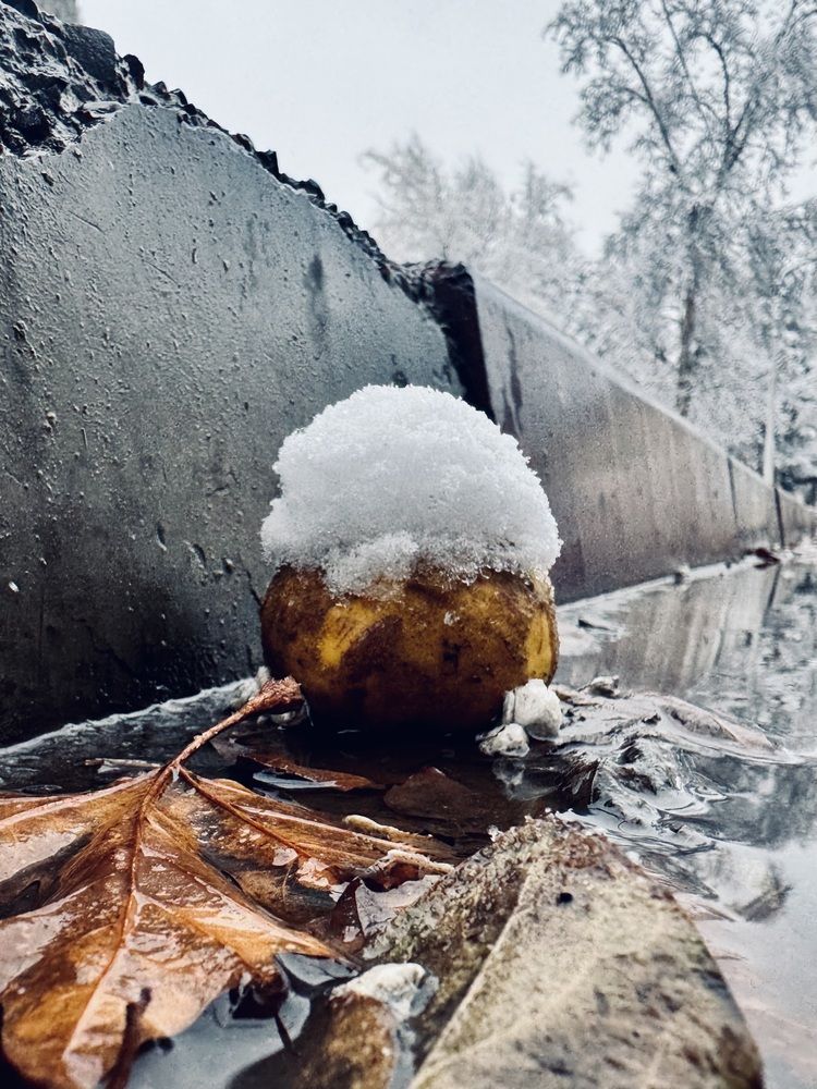 «Неизбежность»