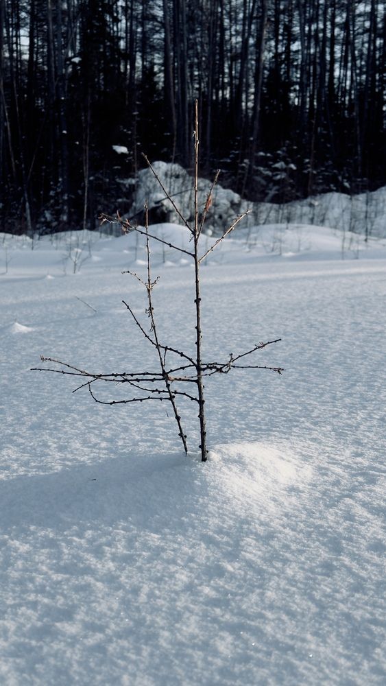 Photograph by Андрей Третьяков