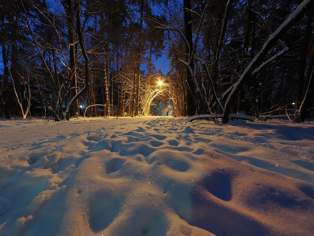 Photograph by Виктор Зайцев