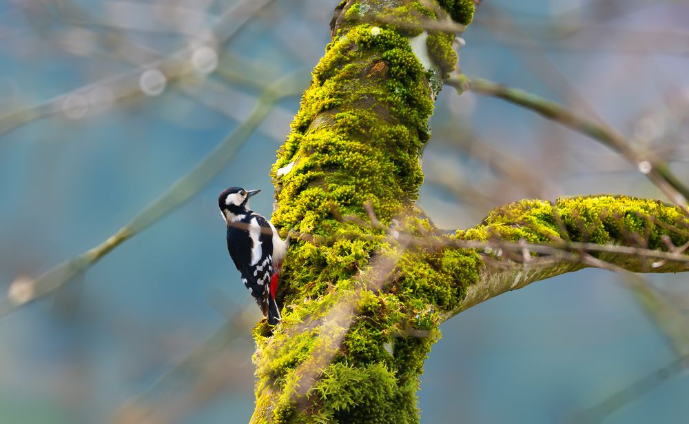 Photograph by Mafaz Abdeen