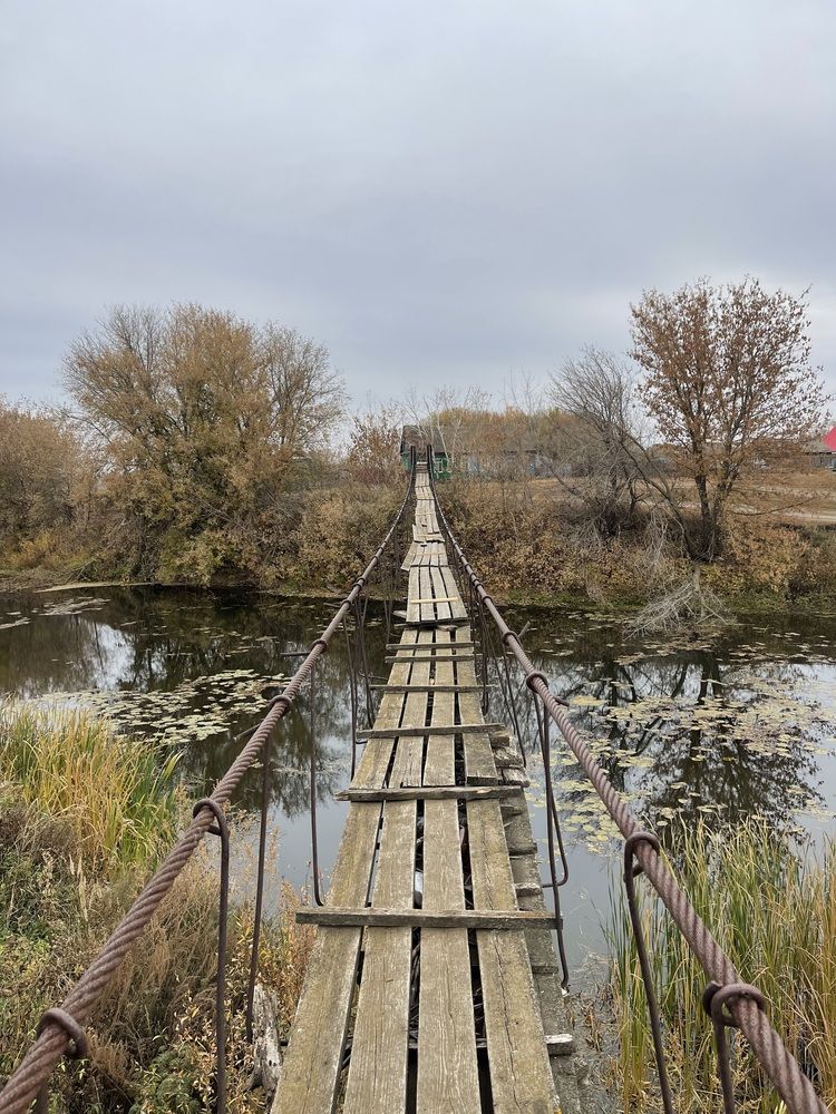 Photograph by Светлана Смук