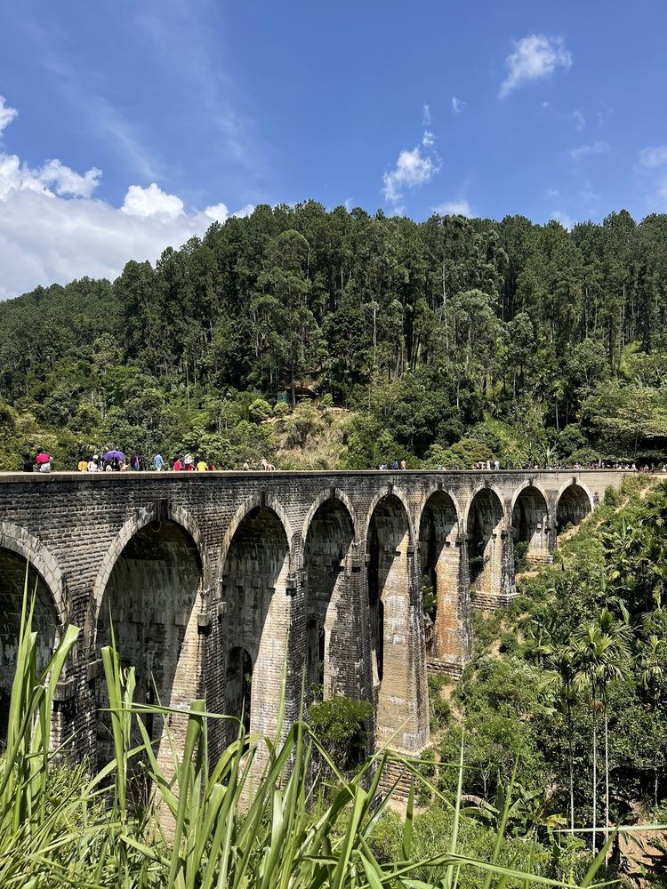 Photograph by Светлана Смук