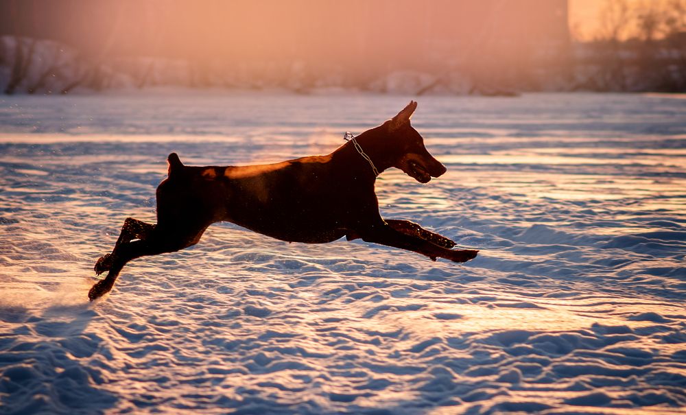 Photograph by Екатерина Лебедева