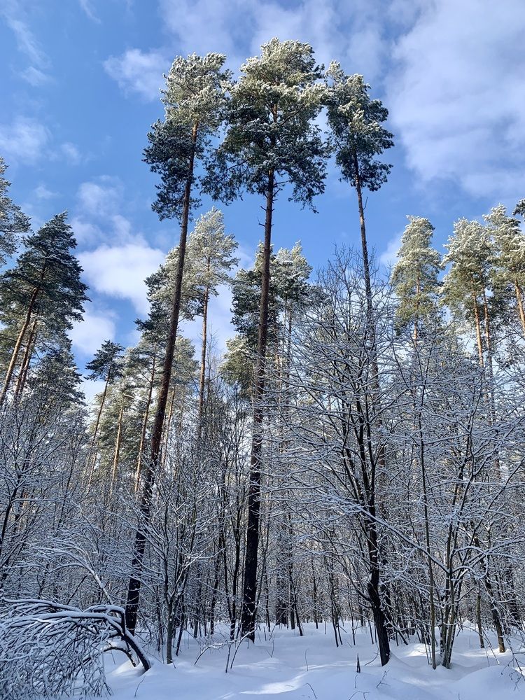 Photograph by Ионова Татьяна