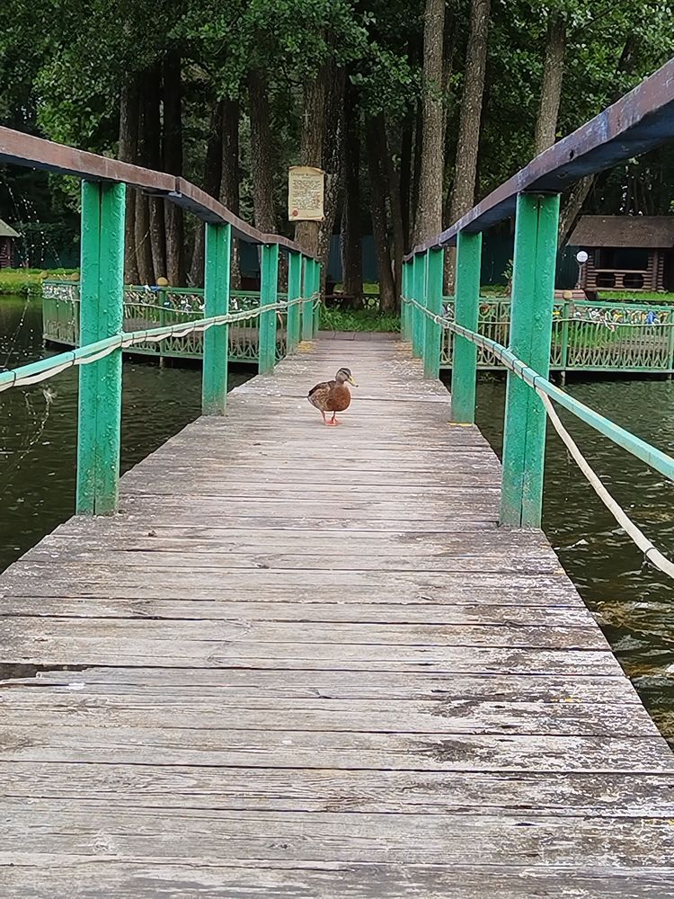 Photograph by Юлія Гацко