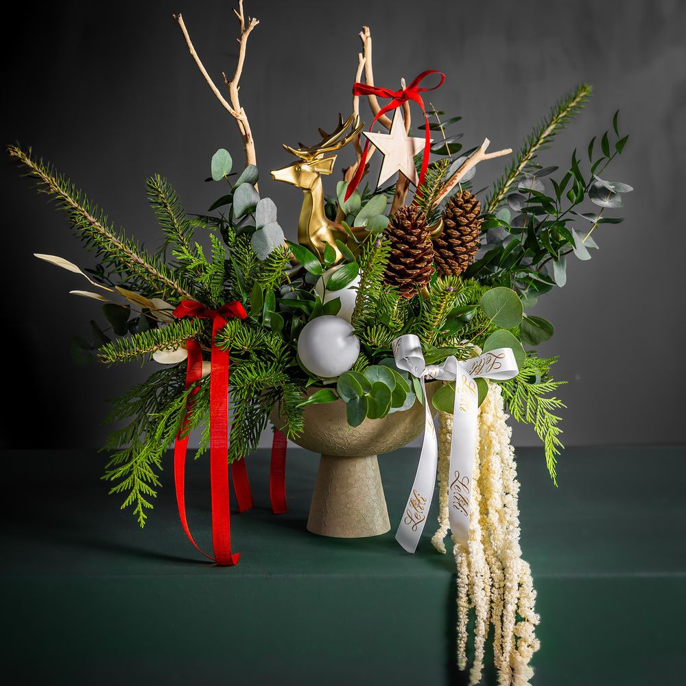 Photograph by Meilleurs Moments