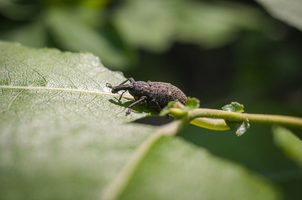 Photograph by Вадим Басов