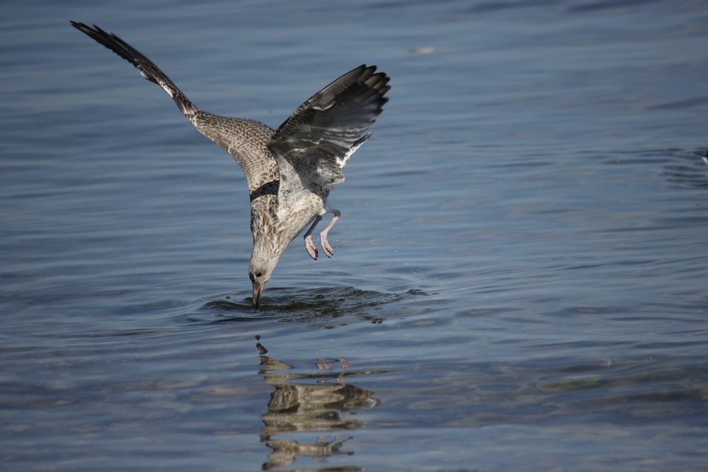 Photograph by Марина Мишутина