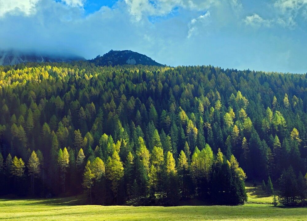 Осенняя Австрия
