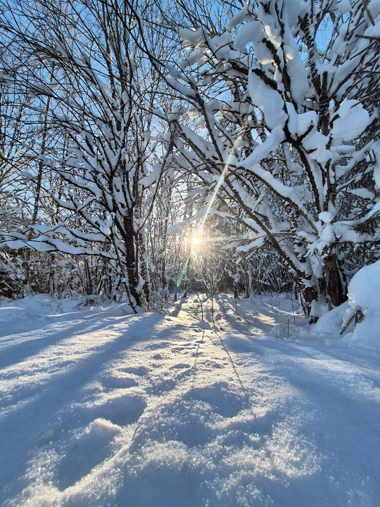 Photograph by yulka0104