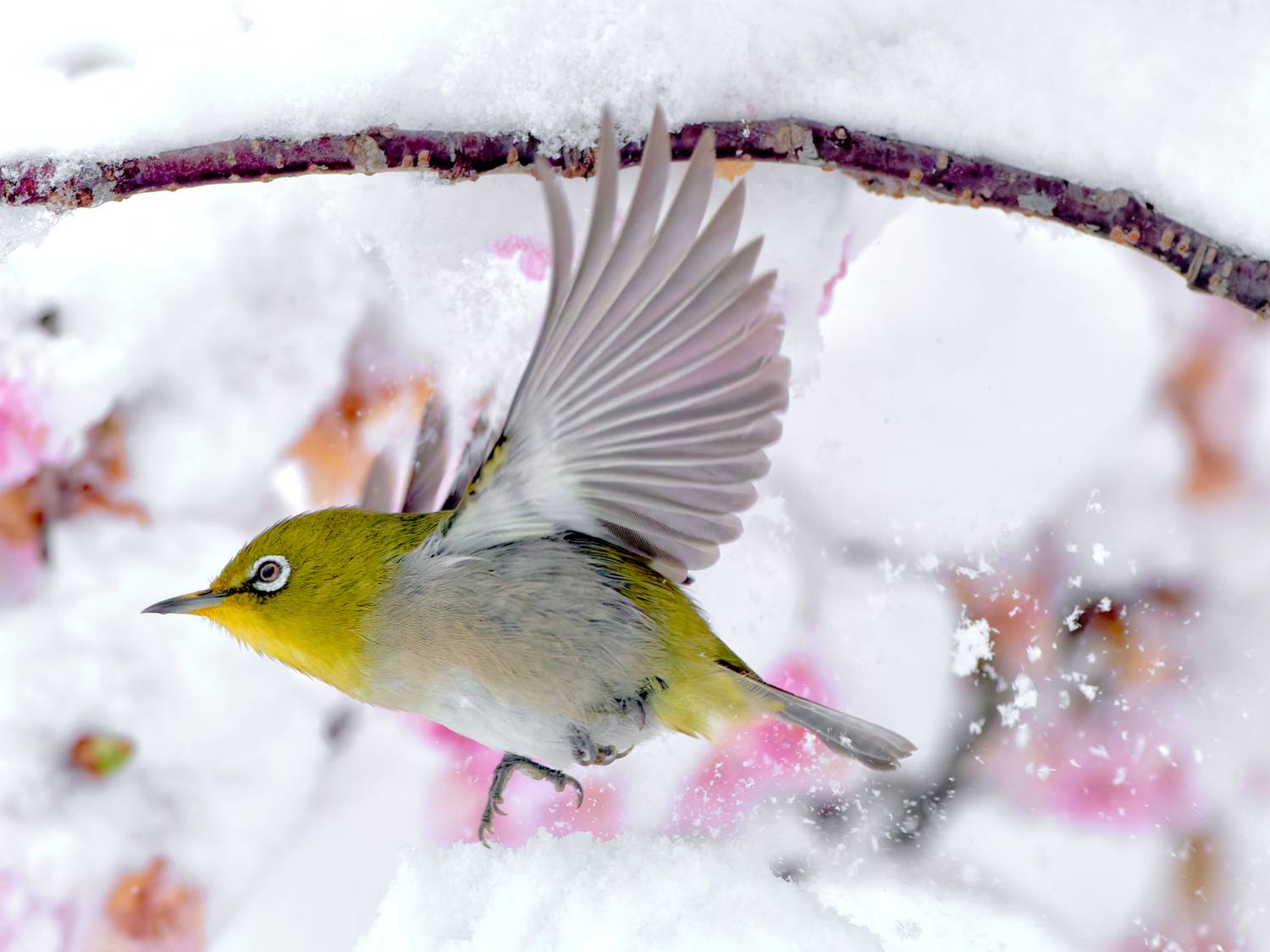 Фотография #13218390