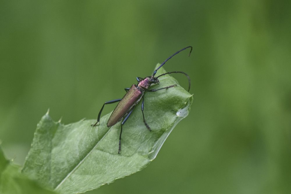 Photograph by Алексей Логинов