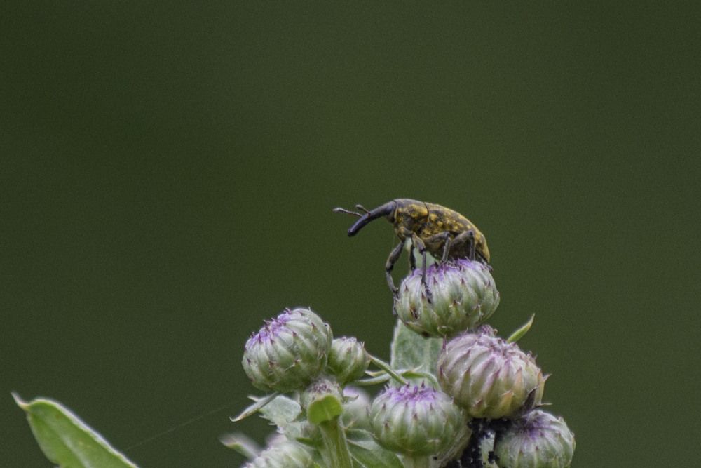 Photograph by Алексей Логинов