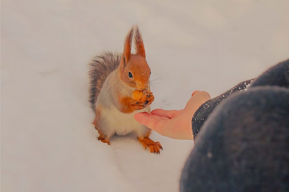 Photograph by Марина Юсупова