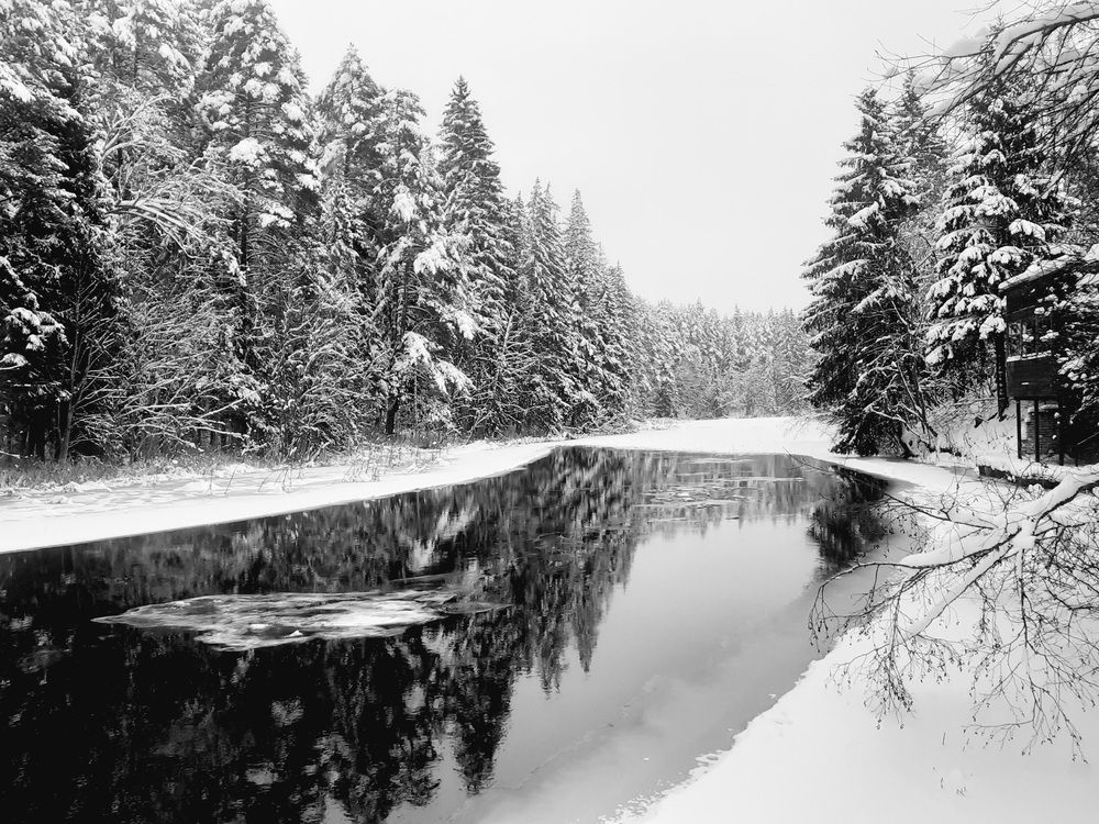 Photograph by Юрий Пучков