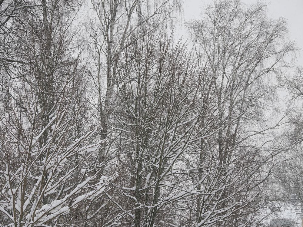 Photograph by Сергей Борисов