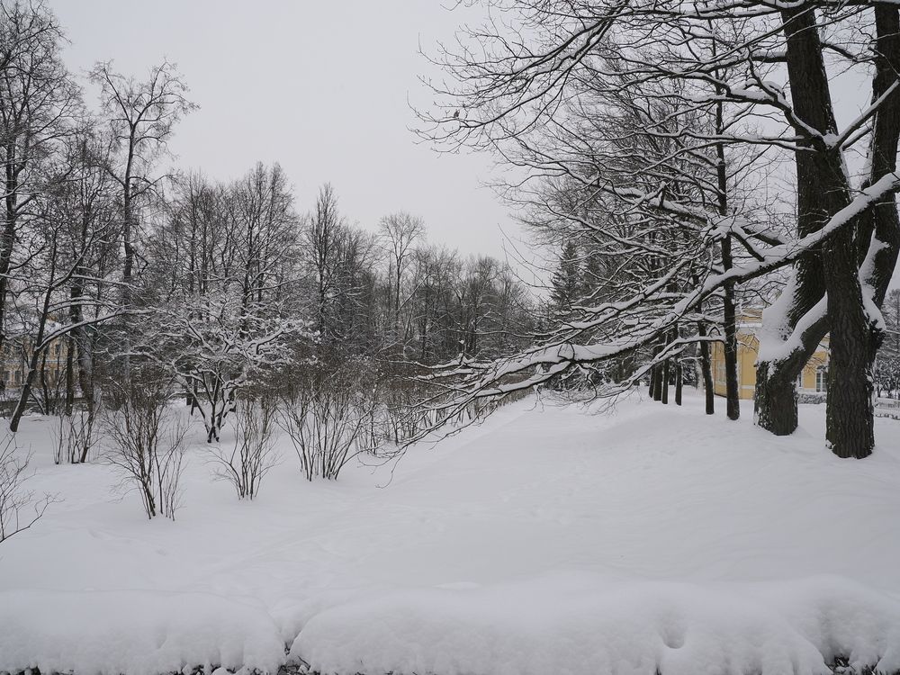 Photograph by Сергей Борисов