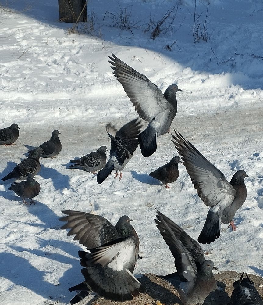 Photograph by Ольга Салтыкова