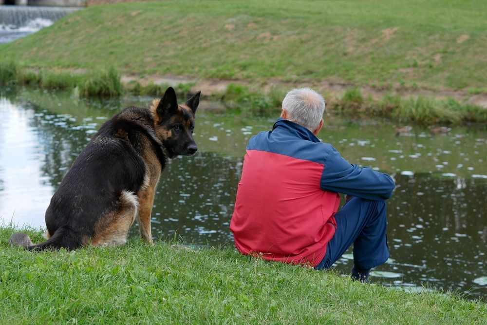 Фотография автора Владимир Лобанов