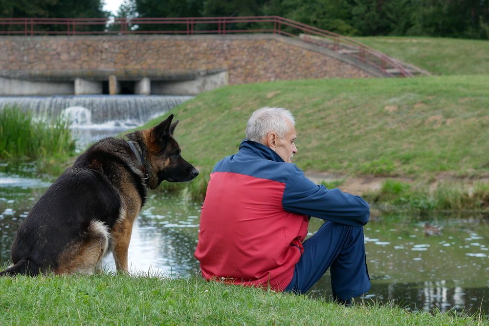 Фотография автора Владимир Лобанов