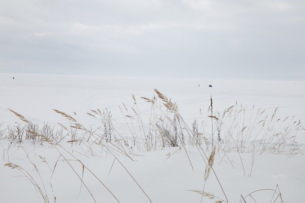 Photograph by Елена Шишкина