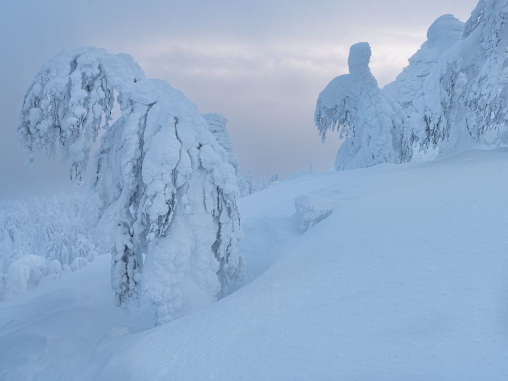 Фотография автора Ольга Крицак