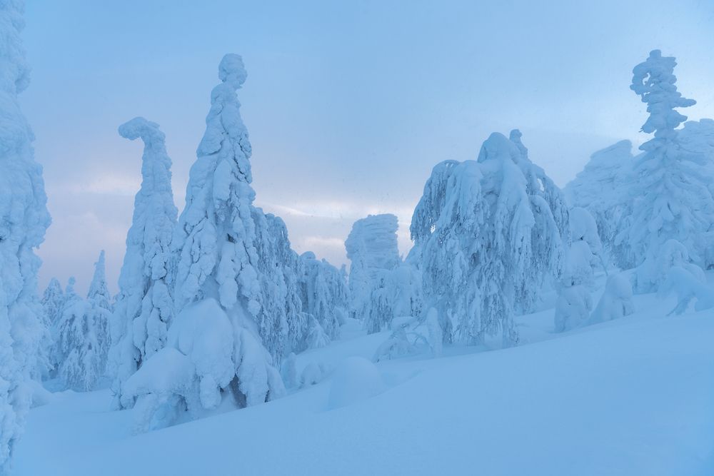 Фотография автора Ольга Крицак