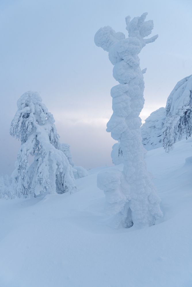 Фотография автора Ольга Крицак