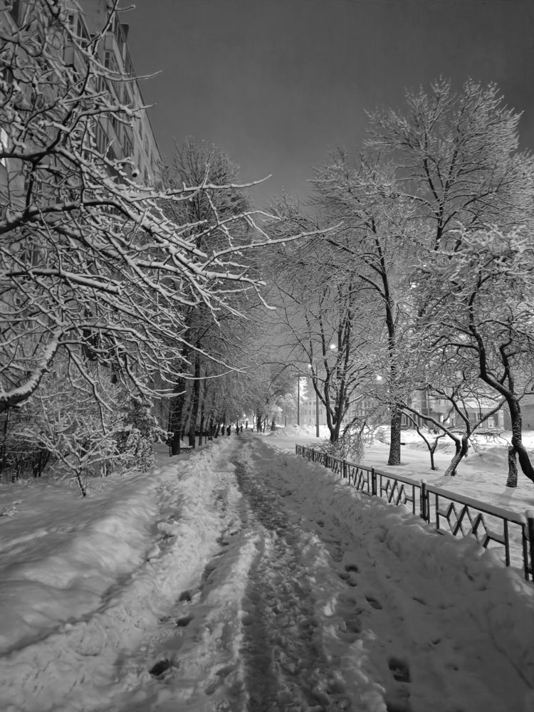 Photograph by Елена Пархоменко