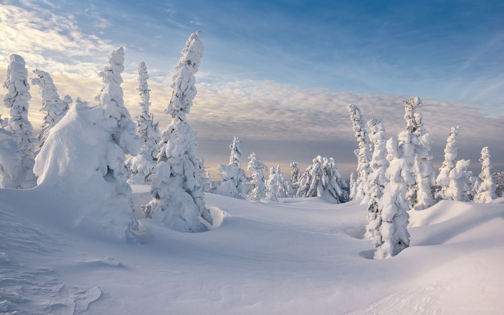 Photograph by Mark Devender