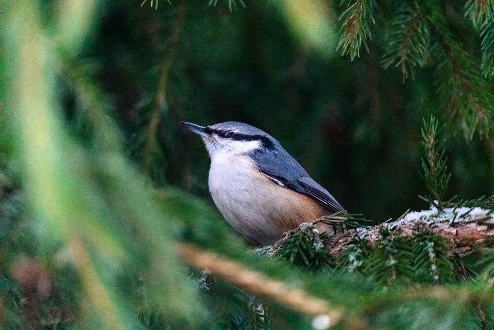 Photograph by Svetlana Porokhovnikova
