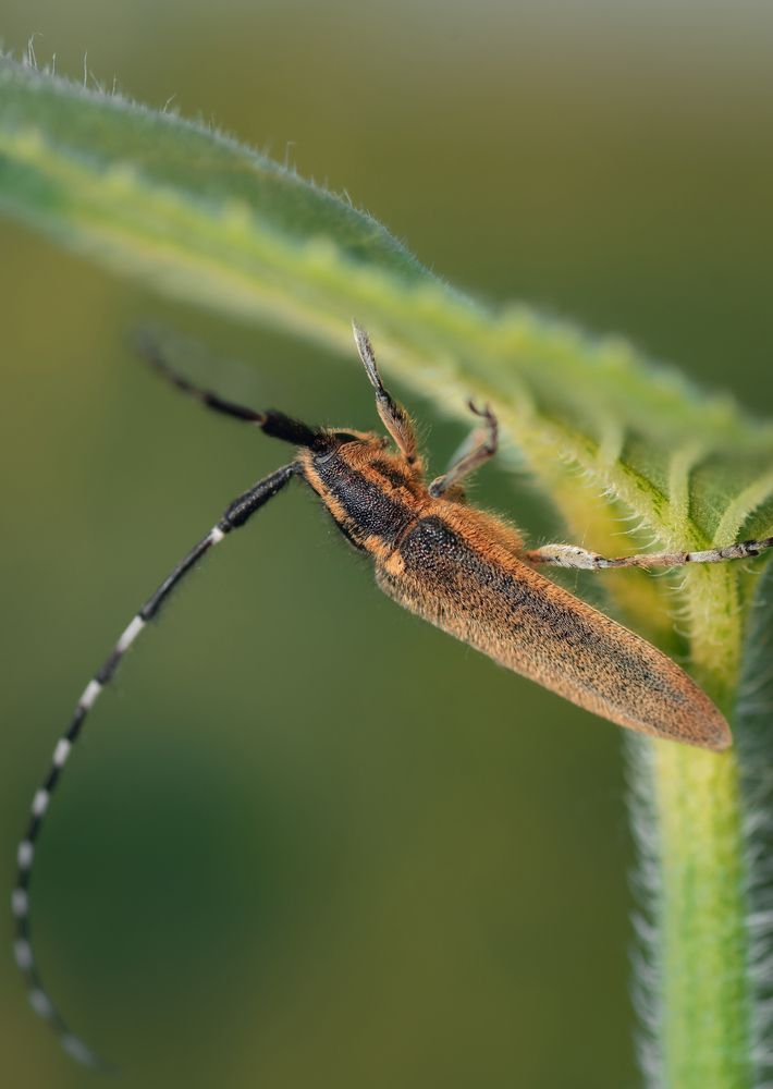 Photograph by Константин Яковлев