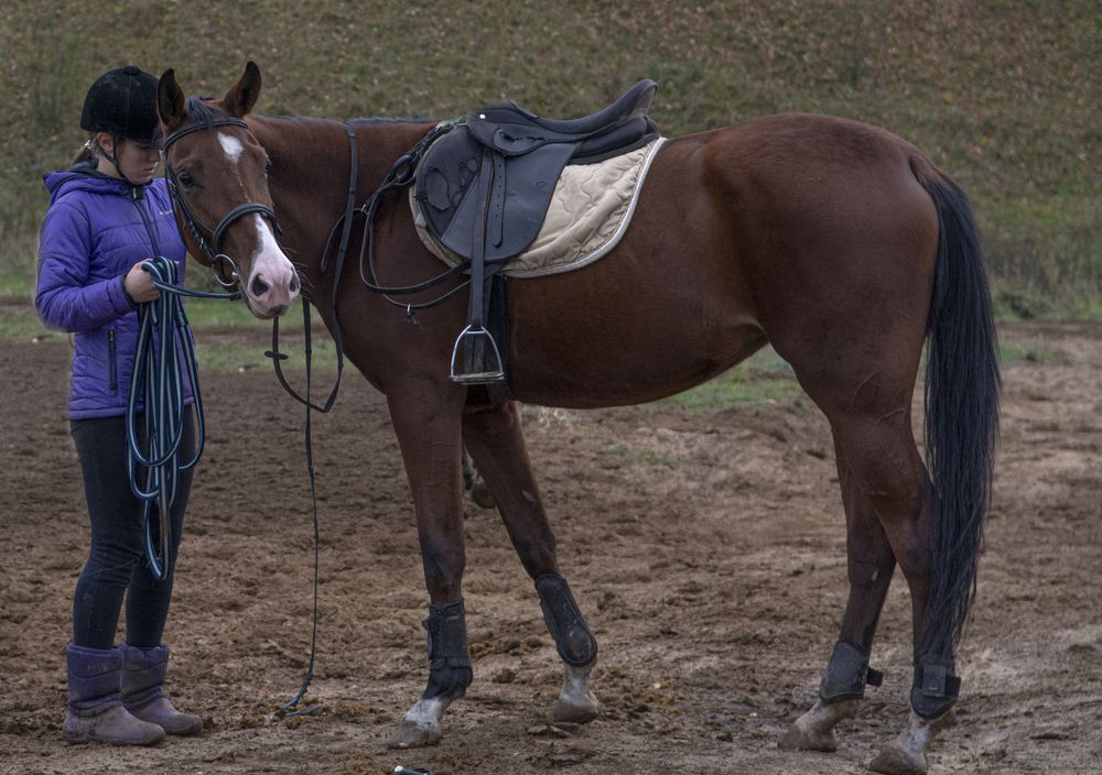 Photograph by Игорь Смирнов