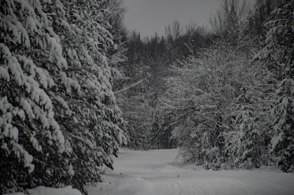 Photo #13218658